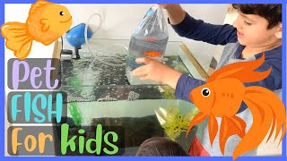 Getting PET FISH for the kids and setting up the fish tank together | Pet Fish for Kids