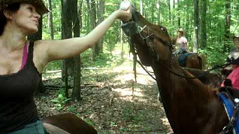 Mid West Trail Ride 042.mpg