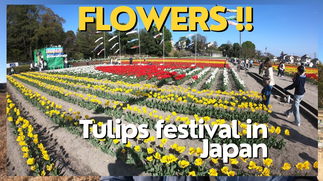 HAMURA TULIPS FESTIVAL 2026 Part 2