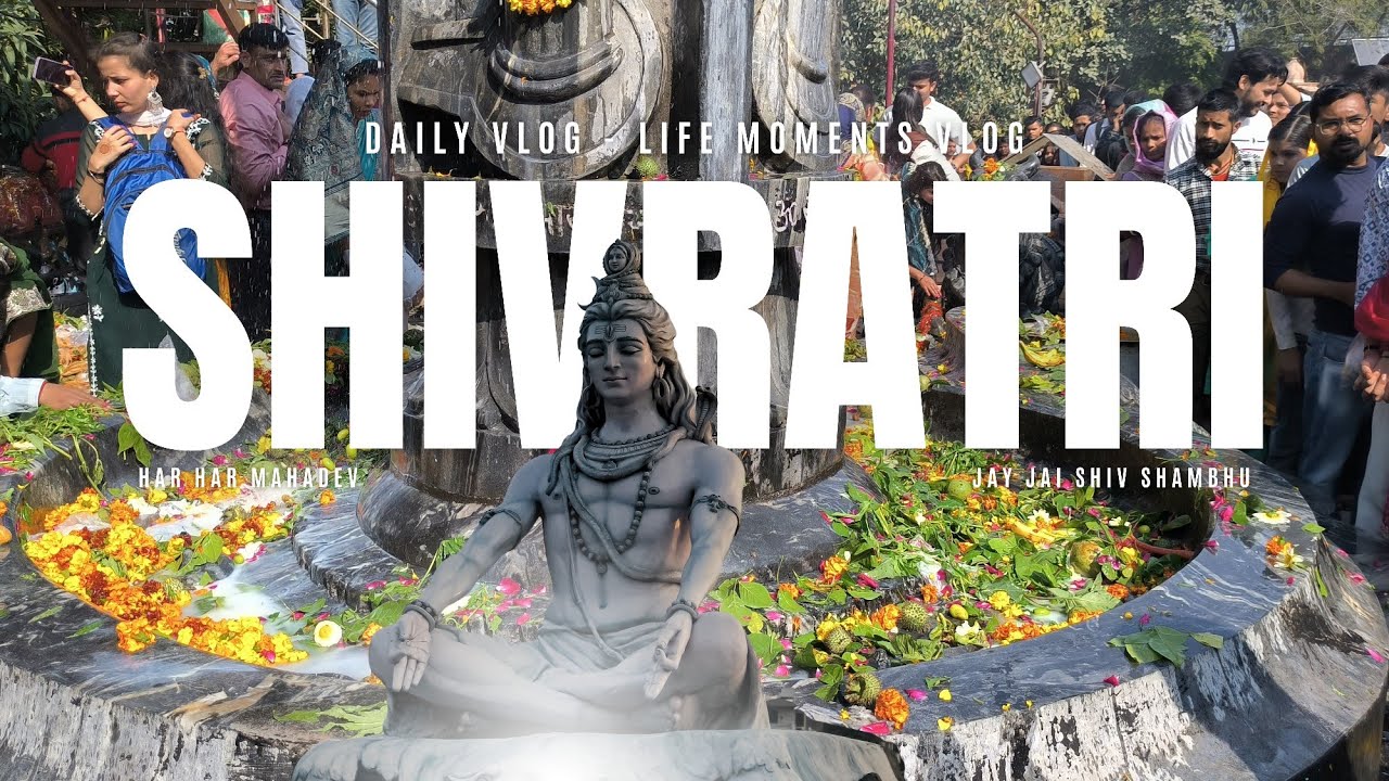 Shivratri Vlog || Daily Vlog #shivratri  #mahadev  #dailyvlog  #fyp  #viral