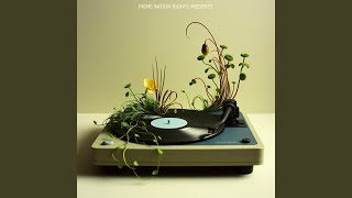 Midnight Whispers Flake