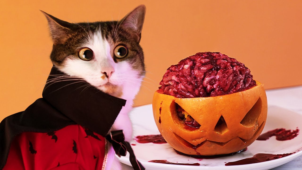 How to Make Halloween Cat Treat YouTube