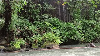 Flowing Water Melody, Relaxing Stream for Better Sleep and Inner Calm, ASMR Water Sound