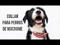 Collar para perros de macramé