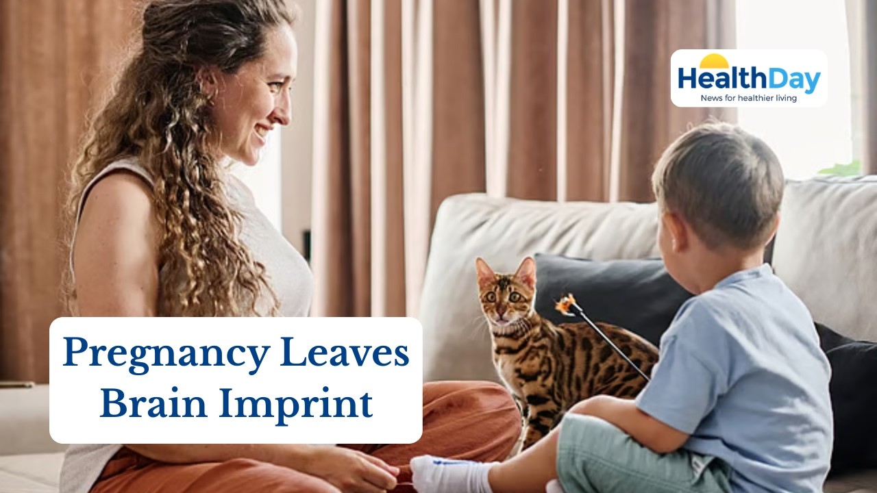 Study Finds Every Pregnancy Leaves a Unique Mark on the Brain