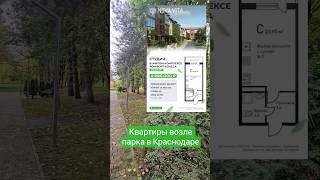 Квартиры в Краснодаре с чистым воздухом #квартиравкраснодаре #сурковсергей