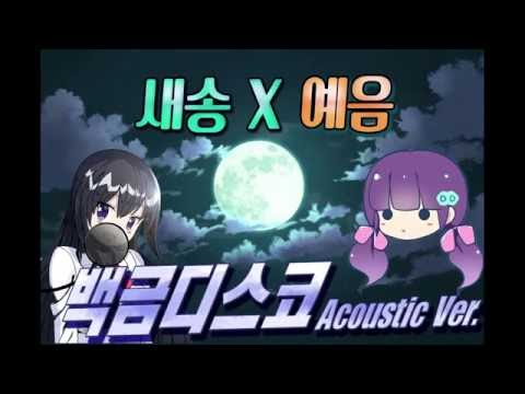 [새송X예음] 백금디스코 Acoustic Ver.
