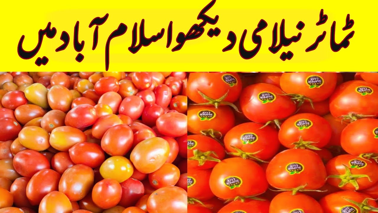 wow amazing tomato auction Islamabad rawalpindi vegetables