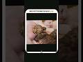 Kitten got drunk on milk 🍼 #funny #cat #kitten #shorts #adoreble #shortvideo #funnyvideo 🥰😽😻