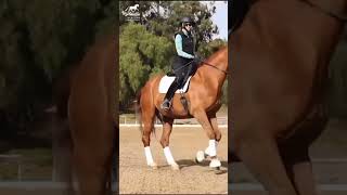 Three Steps to Canter Pirouettes