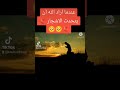 فبالله نحيا وبالله نموت 