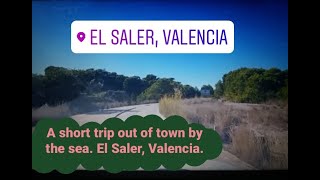 A Short Trip Out Of Town To The Sea. El Saler, Valencia. Короткая Поездка За Город На Море. El Saler
