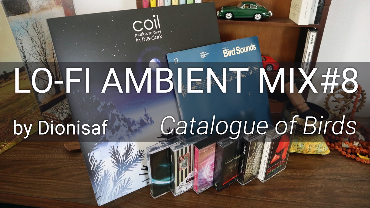 LO-FI AMBIENT MIX #8 by @Dionisaf | Catalogue of Birds | Tascam deck, Pioneer player + BigSky reverb
