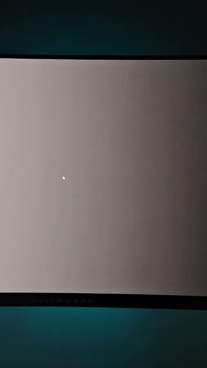 www.youtube.com
