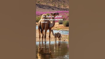{يَسْأَلُونَكَ مَاذَا أُحِلَّ لَهُمْ ۖ}تلاوة قديمة للشيخ سعود الشريم |سورة المائدة #سعود_الشريم