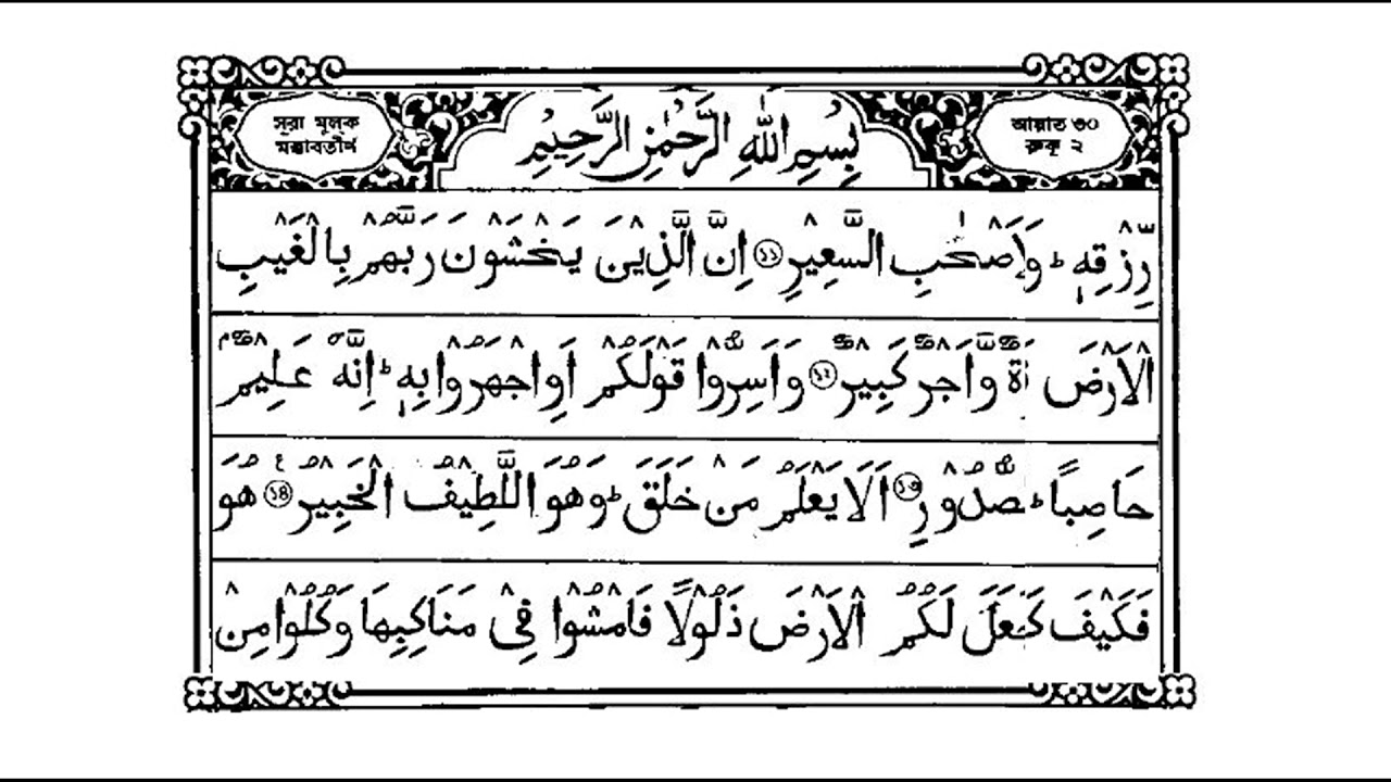 Klitorisning yaqindan olingan fotosurati