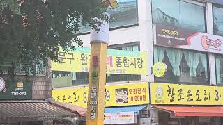 (2027 WYD 서울세계청년대회 D-360 특집) (2026.08.08) 상진운수 261번 3965호 주행영상(2)