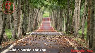 Orphan-Reed Mathis Rock - Funky Freemusic For Content Creators237