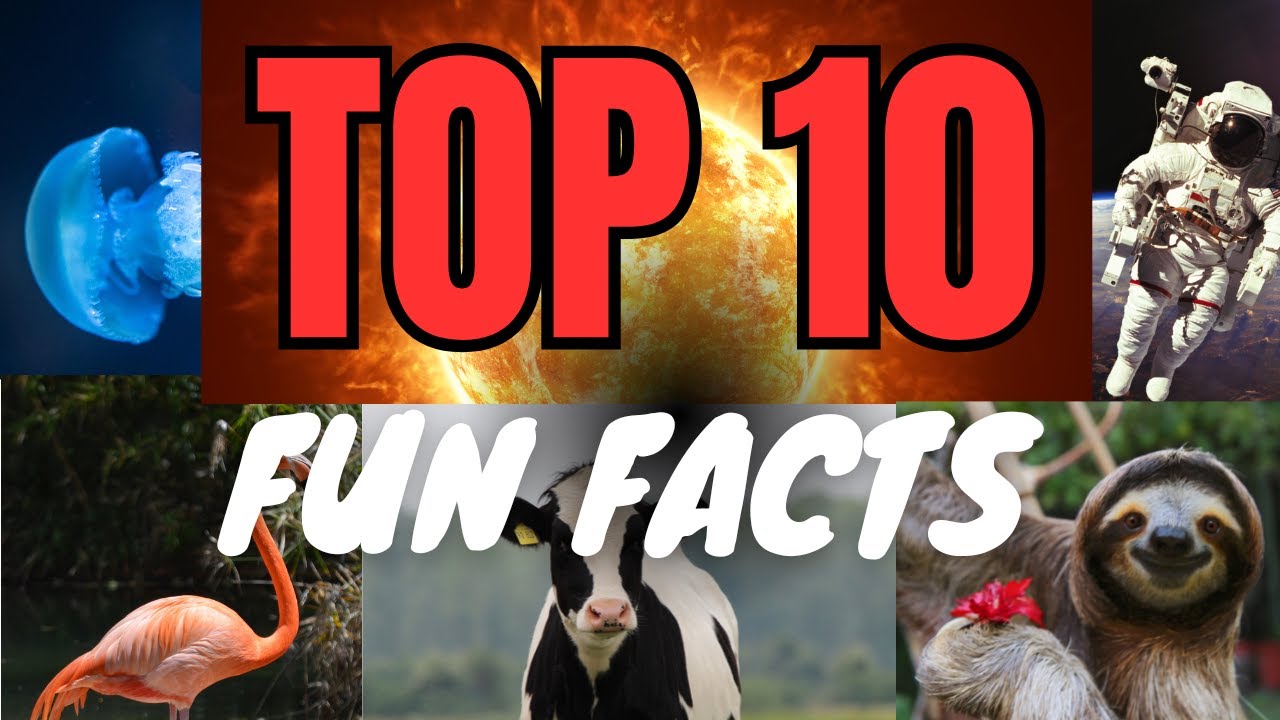Top 10 Fun Facts That Will Blow Your Mind | Amazing Facts You Didn’t Know