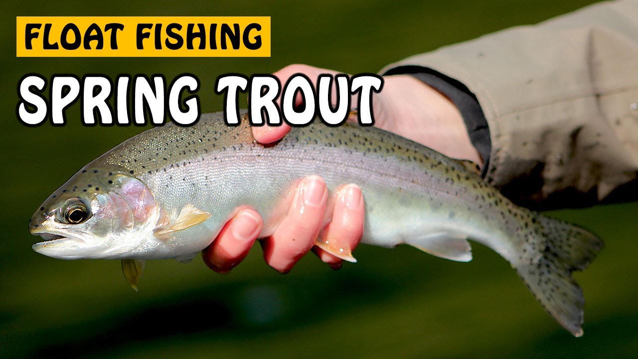 Catching Trout with Single Eggs