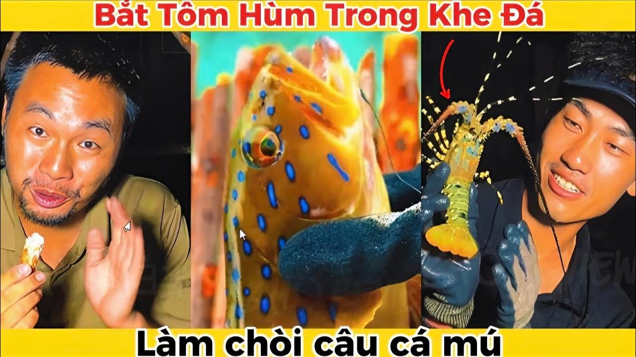 Phần 5| Full Sinh Tồn Đảo Hoang | Làm Chòi Câu Cá Mú Biển Và Bắt Sò Trên Đảo