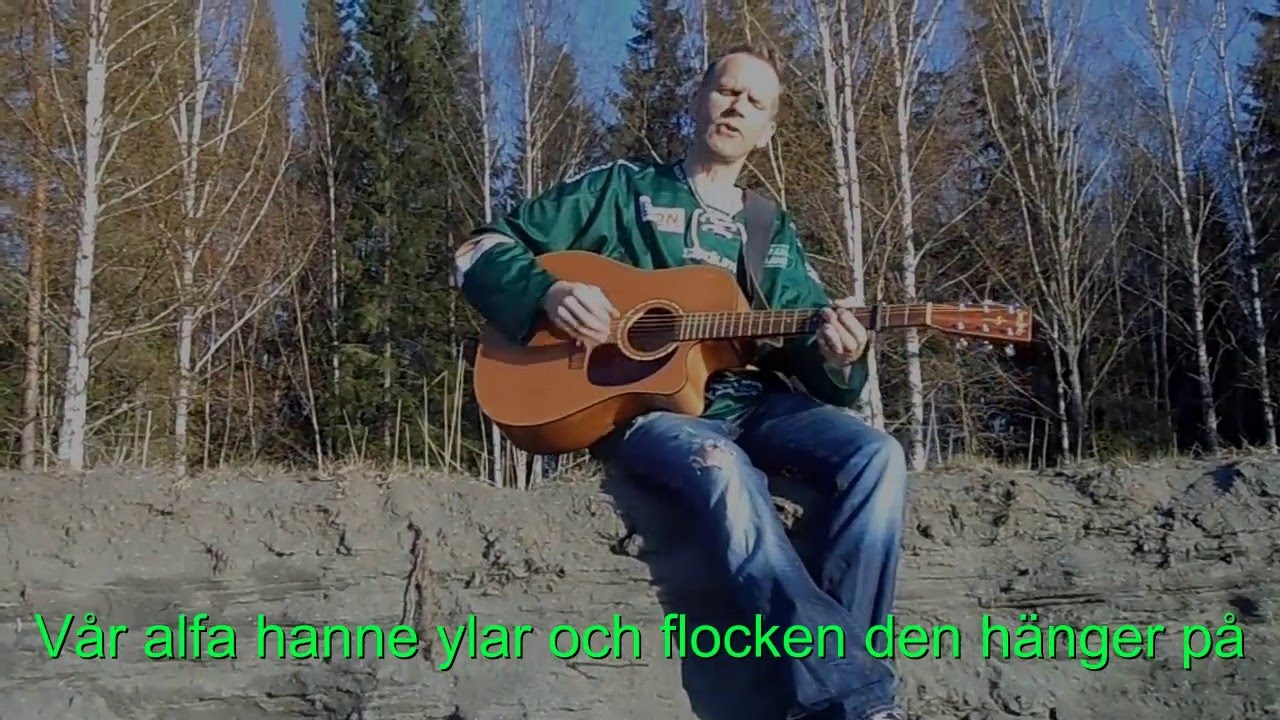 Vargen i våra hjärtan (Danny Norin)