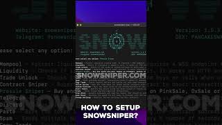 How to set up SnowSniper for the first time? (PancakeSwap Sniper Bot Tutorial)