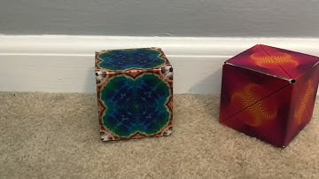 Shapes you can make with 2 shashibos