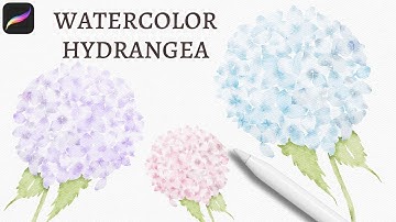 How to Paint Watercolor Hydrangea Flowers in Procreate | EASY Tutorial | Coloring Tips in Procreate