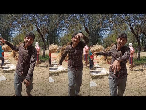 Ashiwal फार्म हाउस पर गेहू निकालते हुए | I working form फार्म house | सुन्दरी देवी फार्म हाउस ringas