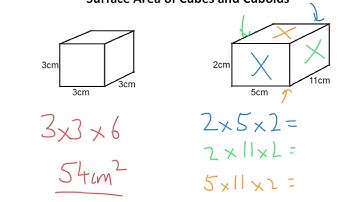 Surface Area of Cubes/Cuboids - Tutorial