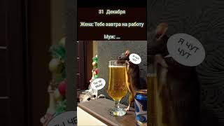 Тебе завтра на работу! Я чуть чуть 😀🍺 Поиколы 2024