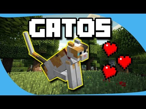 Vídeo: Com Domesticar Un Gat A Minecraft