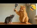 おかしな猫と犬が、あなたを大笑いさせるでしょう 😂