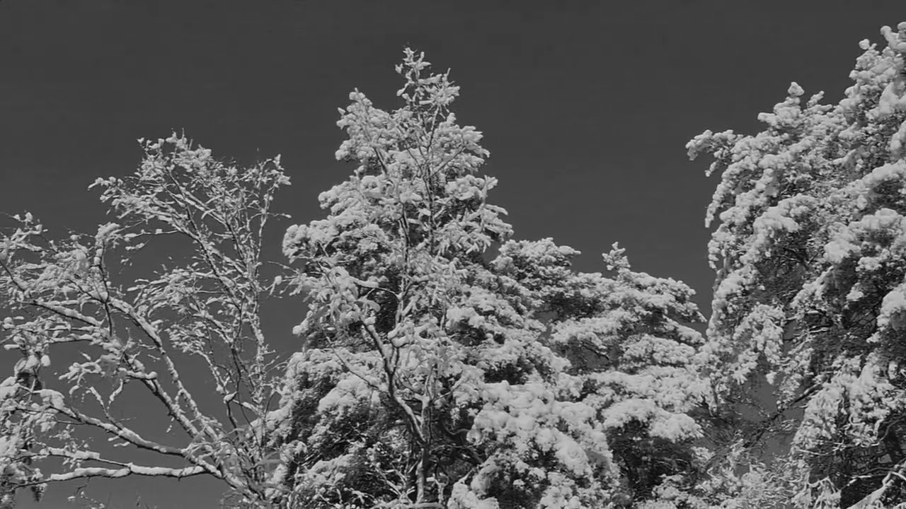 AUTUMNFALL: The Fall of the Leafe legacy returns through Finnish melodic black metal on "The Archaic Sins"