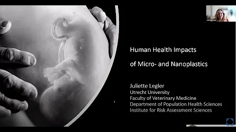 Human health impacts of micro- and nanoplastics