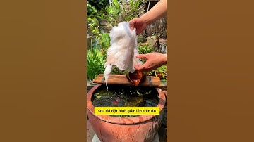 Hệ thống lọc sinh học tiên tiến cho hồ cá của bạn với Bình Gốm Thác Nước Notashop! #notashopvn