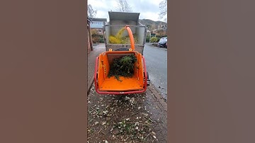 How to use a wood chipper / shredder #shorts #asmr #satisfying #gardening #machine #diy