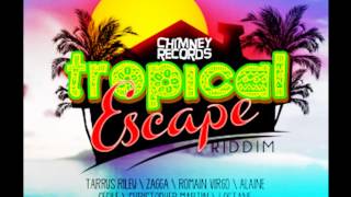 Video thumbnail of "Tropical Escape Riddim Reggae Mix by MixtapeYARDY"