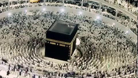 عشائية آسرة من الشيخ د. ماهر المعيقلي لما تيسّر من سورة الأحقاف || ليوم الخميس ١١-٤-١٤٣٧هـ