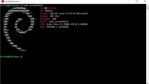 Install Debian 12 (No GUI) - in 6 Minutes
