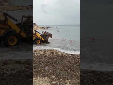Гнилые водоросли с пляжа в районе Аквамарина бульдозером сгребают в море