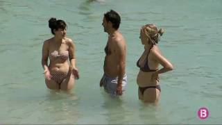 Una tintorera s`apropa a la costa entre Cala Major i Illetes