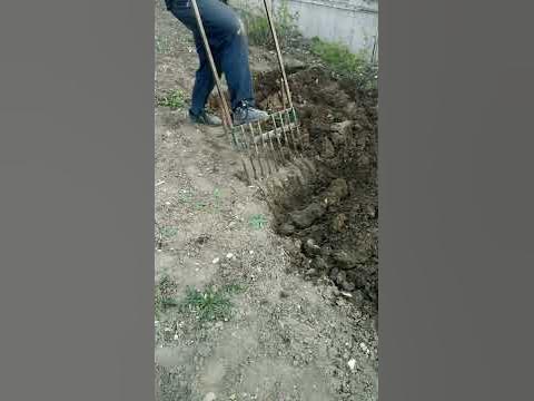 Чудо лопата - YouTube