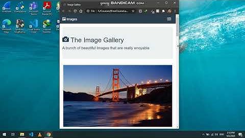 Image Gallery | HTML, CSS And Bootstrap | Website Design | Saif Ullah
