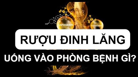 RƯỢU ĐINH LĂNG UỐNG VÀO PHÒNG BỆNH GÌ? 5 LỢI ÍCH TRỊ BỆNH BẤT NGỜ,CÁCH NGÂM RƯỢU ĐINH LĂNG