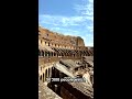 50,000 Romans Watched Thousands Die Weekly in the Colosseum