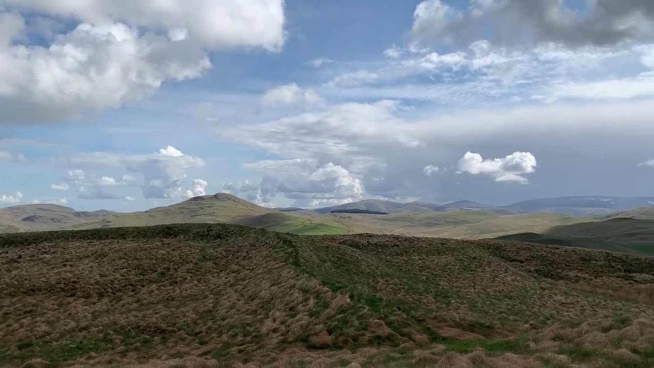 Alpaca Trekking in the Scottish Borders