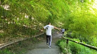 20180804 1 5mins