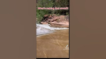 Sasquatch vocalizing #mystery #creature #usa #creepypasta #utah #sasquatch_01 #Paranormal#Cryptid#??